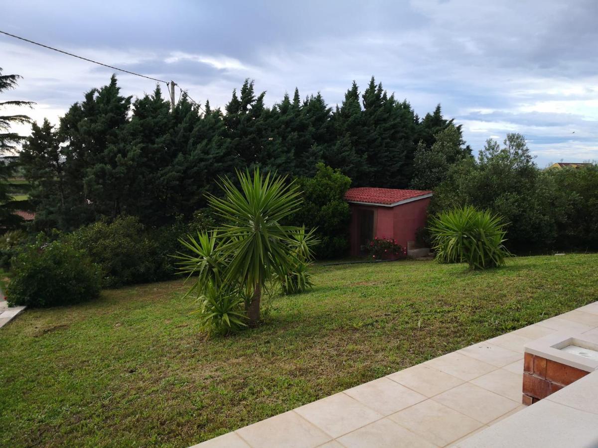 טורי B&B Villa Lena מראה חיצוני תמונה