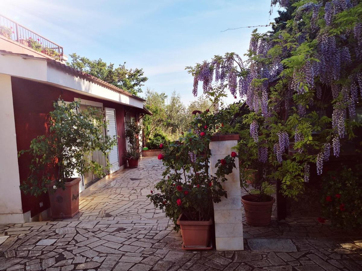 טורי B&B Villa Lena מראה חיצוני תמונה
