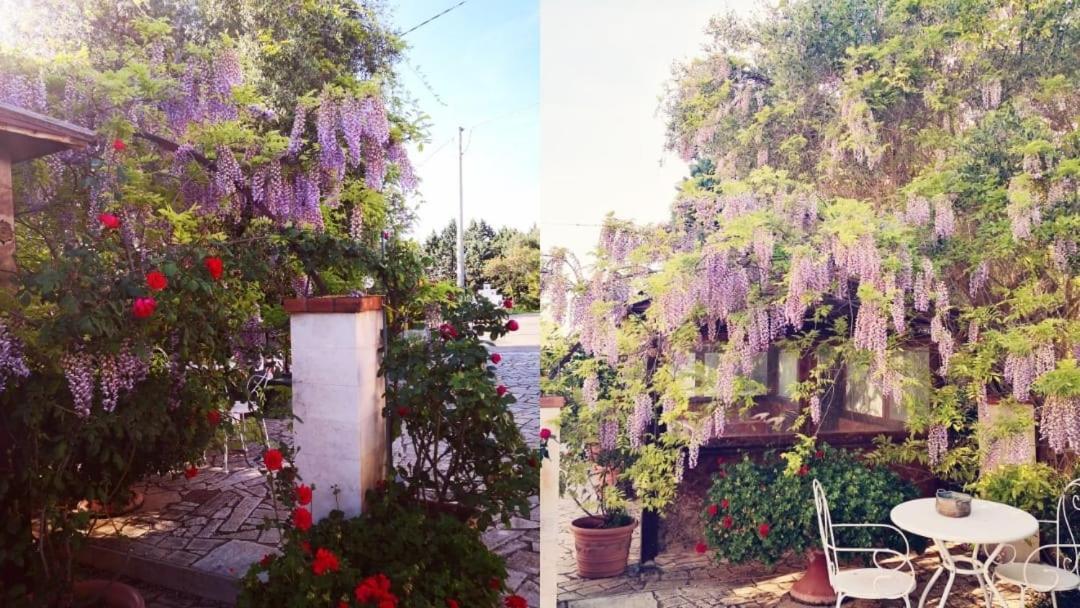 טורי B&B Villa Lena מראה חיצוני תמונה