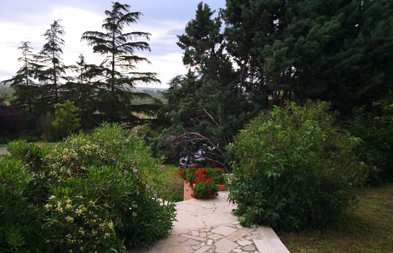 טורי B&B Villa Lena מראה חיצוני תמונה