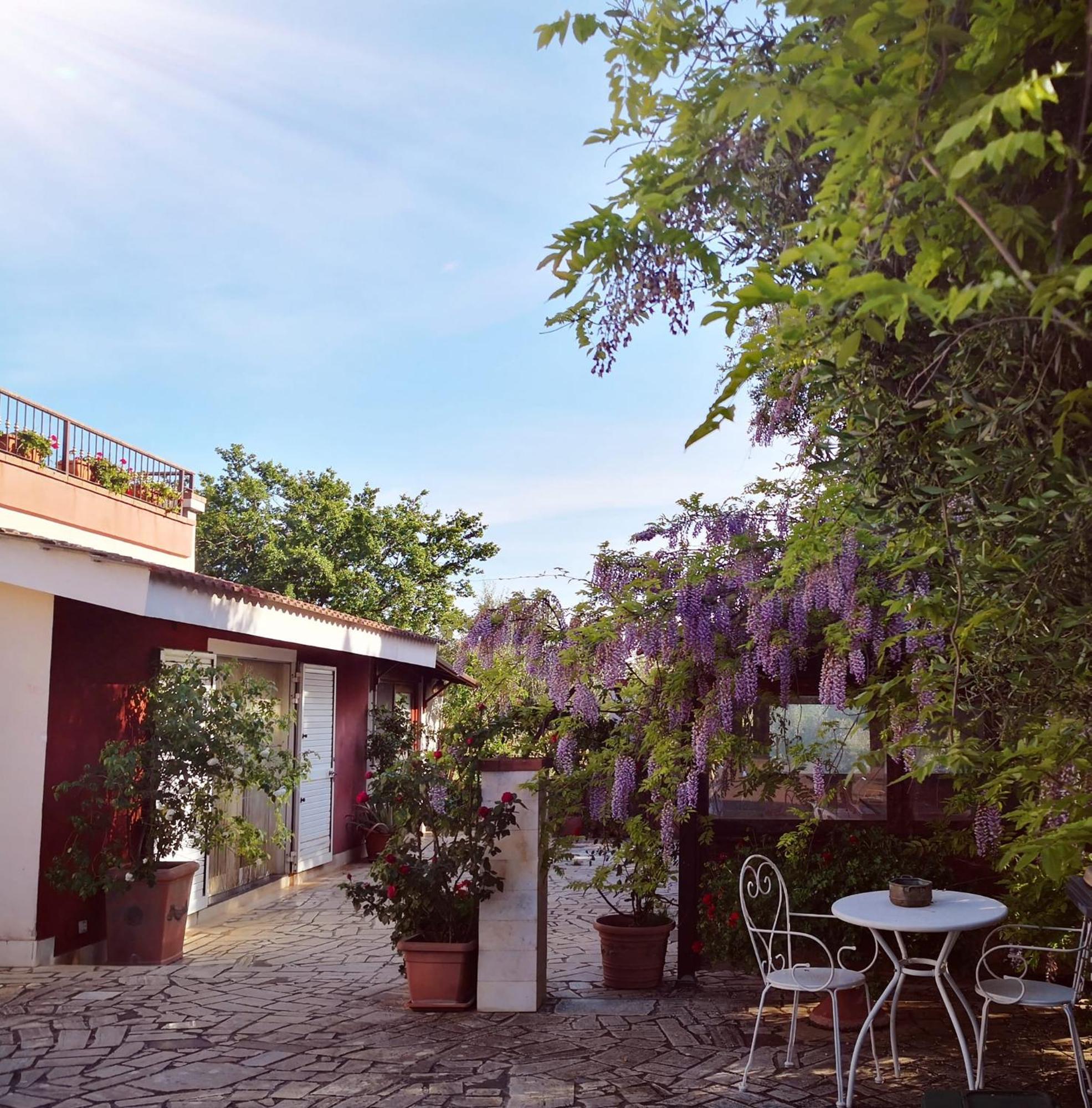 טורי B&B Villa Lena מראה חיצוני תמונה