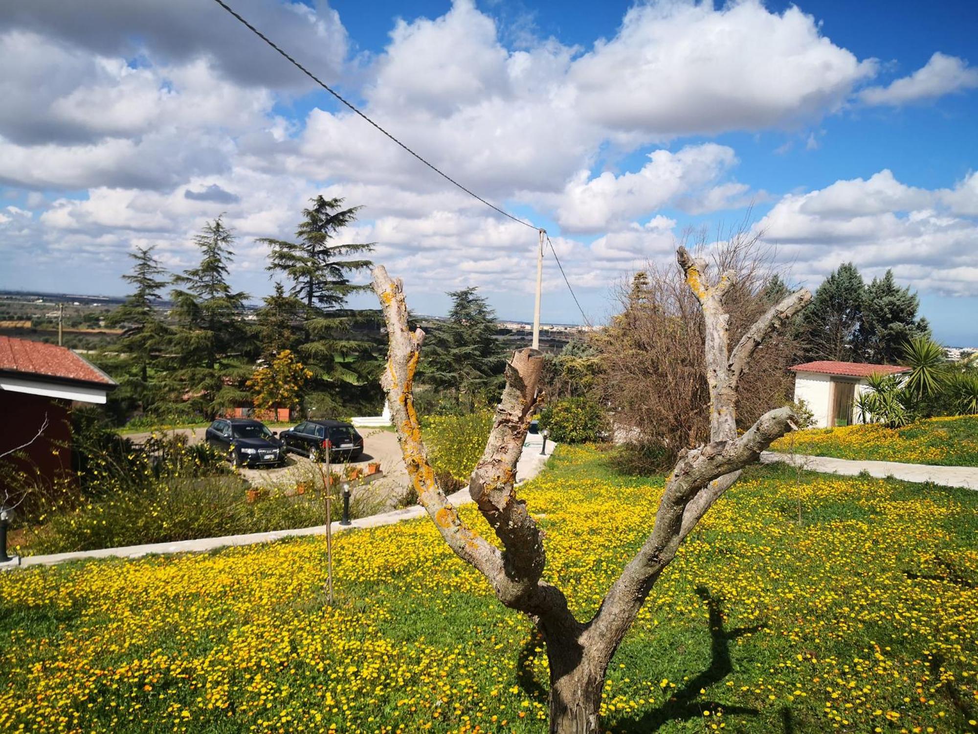 טורי B&B Villa Lena מראה חיצוני תמונה