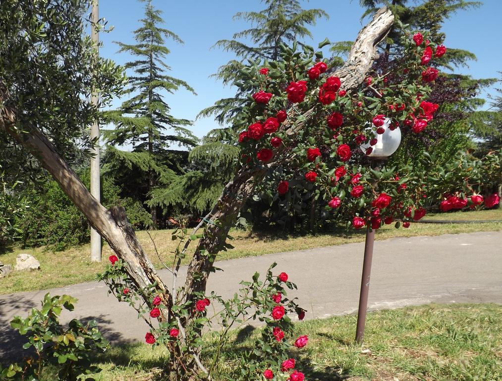 טורי B&B Villa Lena מראה חיצוני תמונה