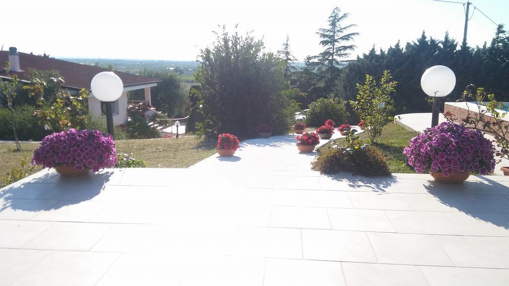 טורי B&B Villa Lena מראה חיצוני תמונה