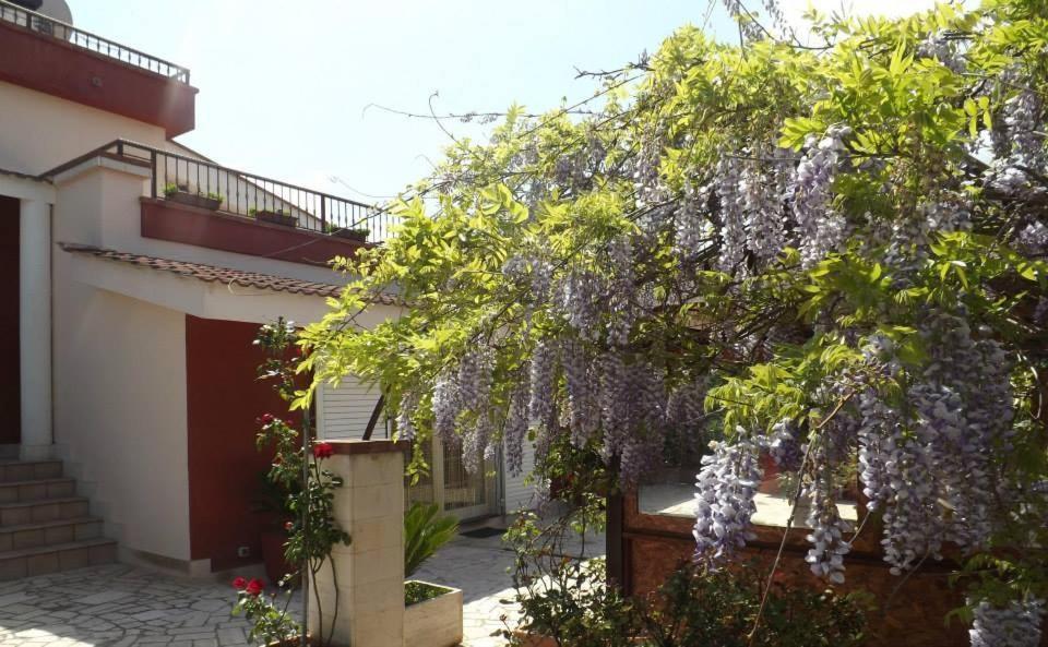 טורי B&B Villa Lena מראה חיצוני תמונה